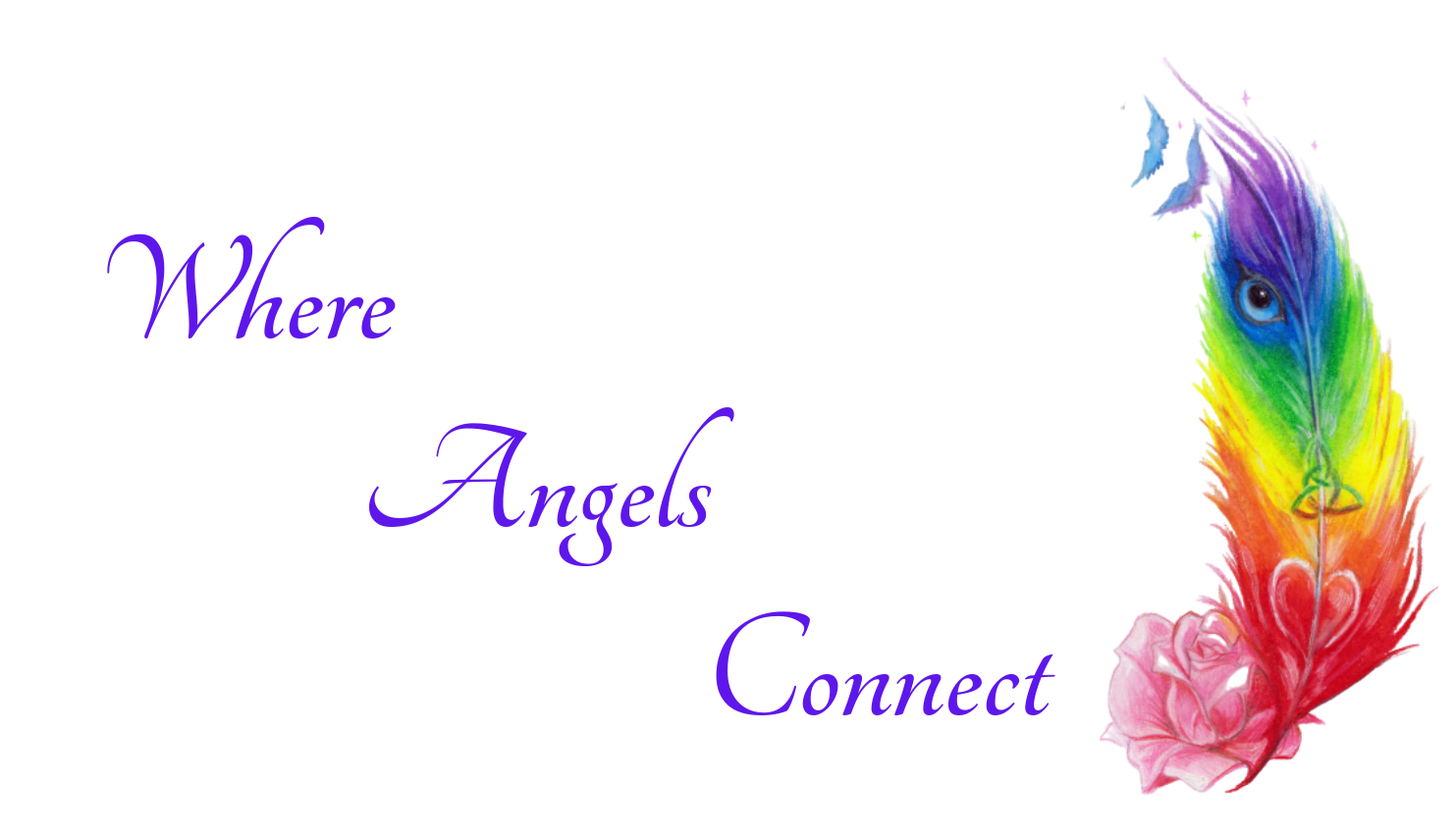 Where Angels Connect